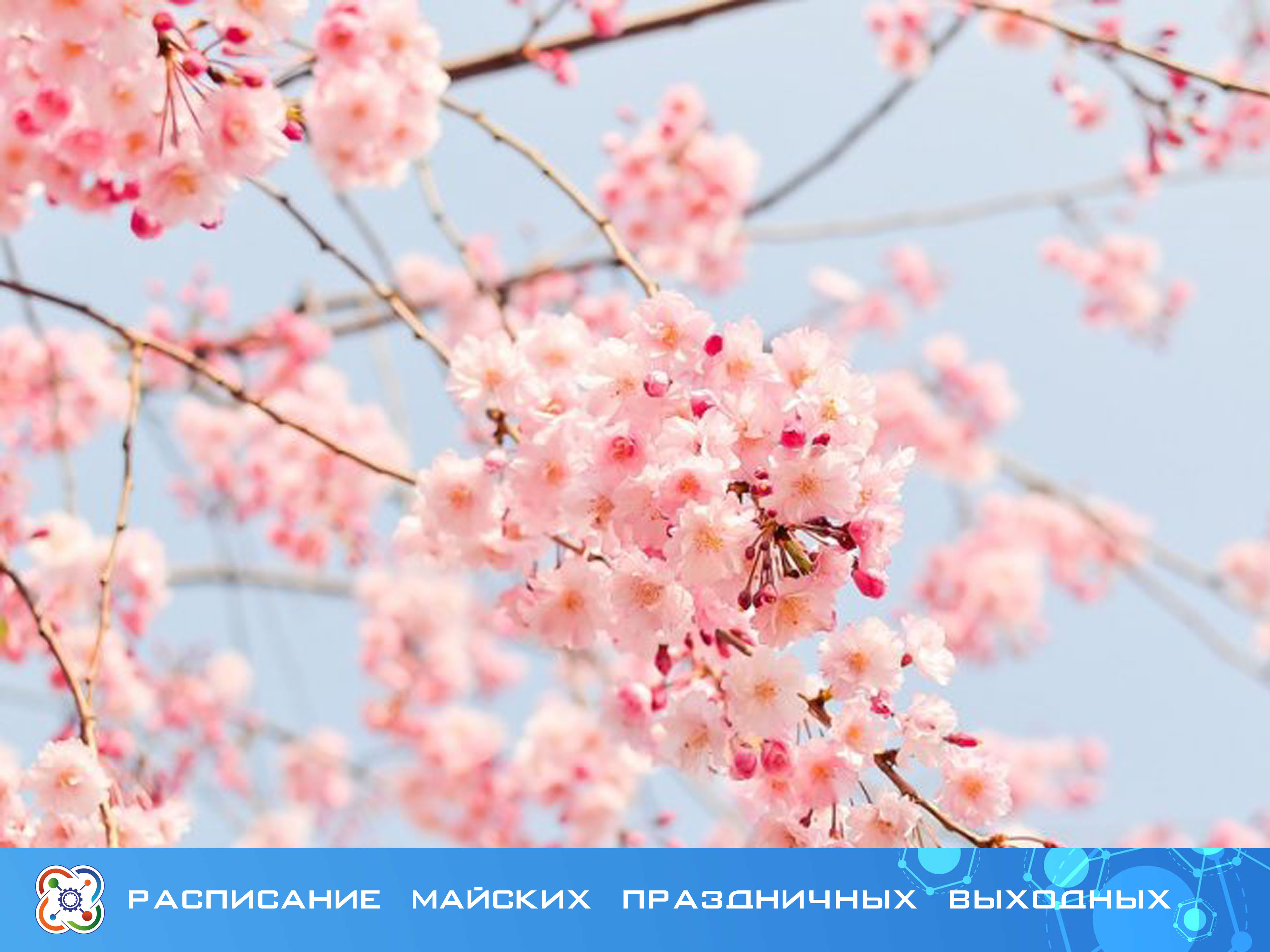 Стало известно расписание праздничных выходных в мае