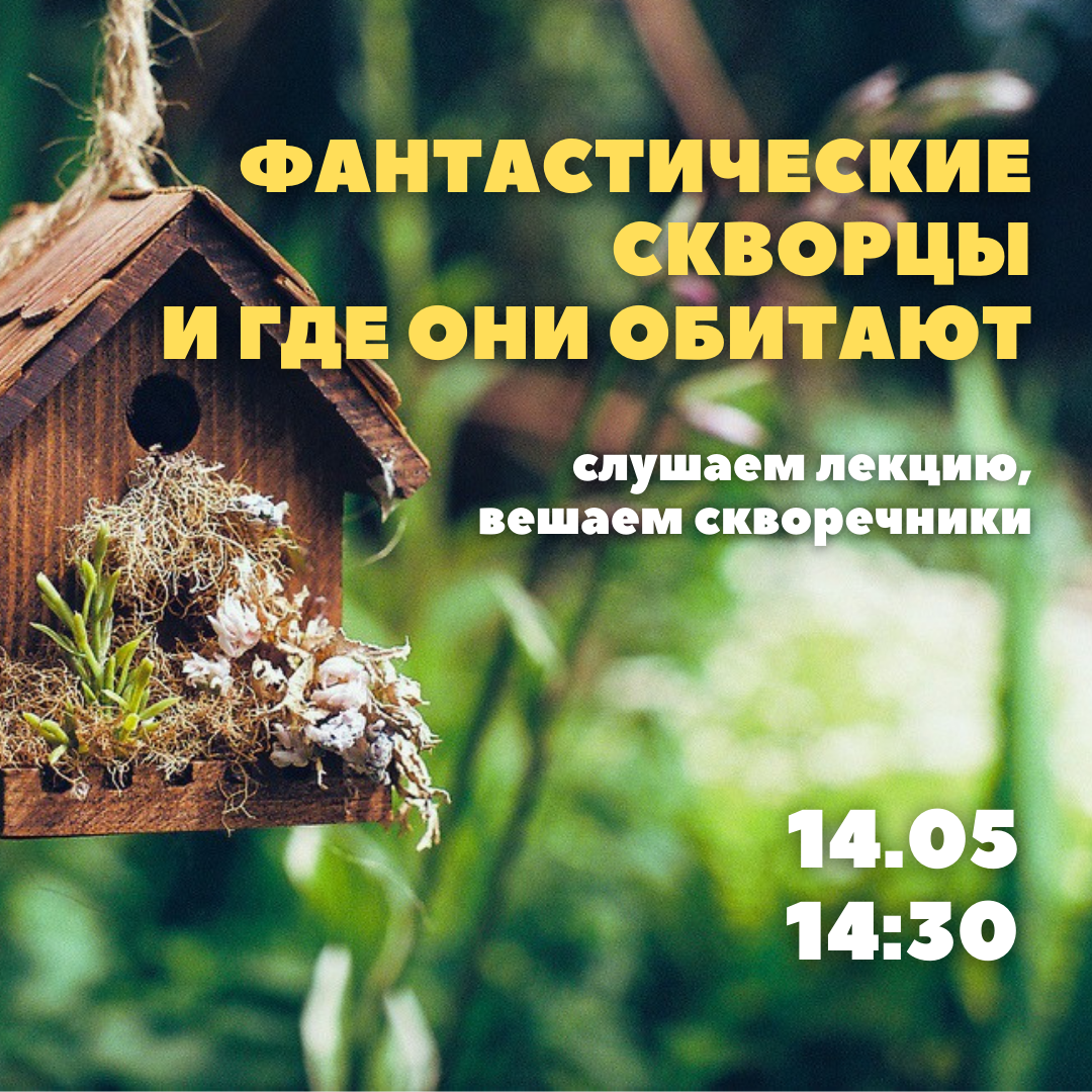 Приглашаем кванторианцев на интерактивную лекцию в био!